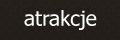 Atrakcje w hotelu